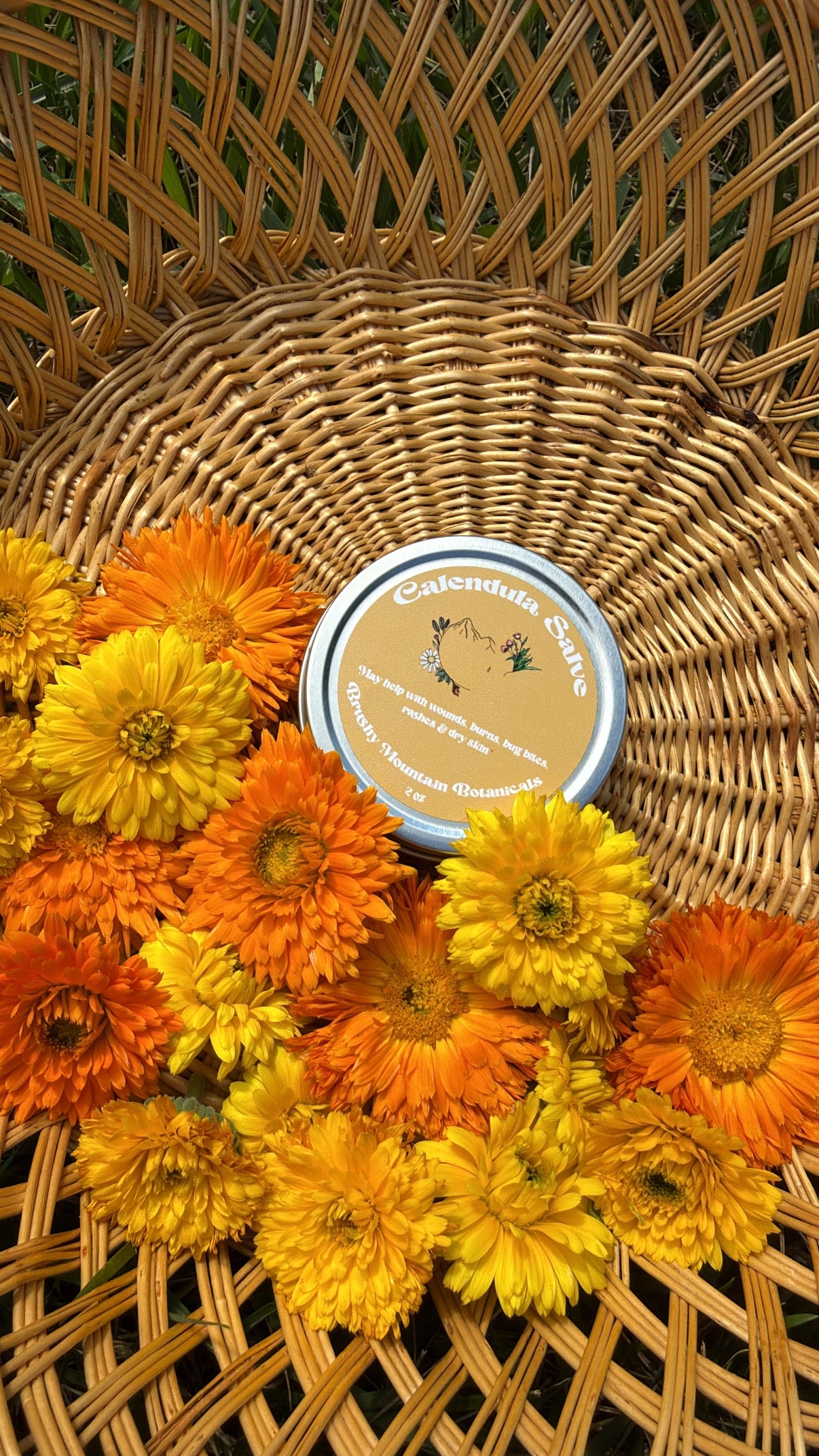 Calendula Salve